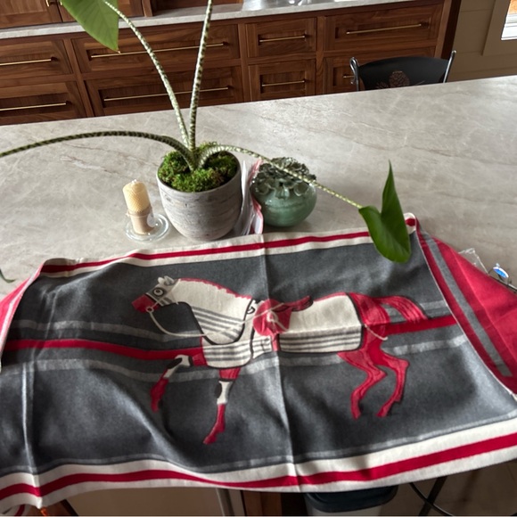 Hermès Cashmere Silk Horse Motif Scarf - Picture 2 of 11